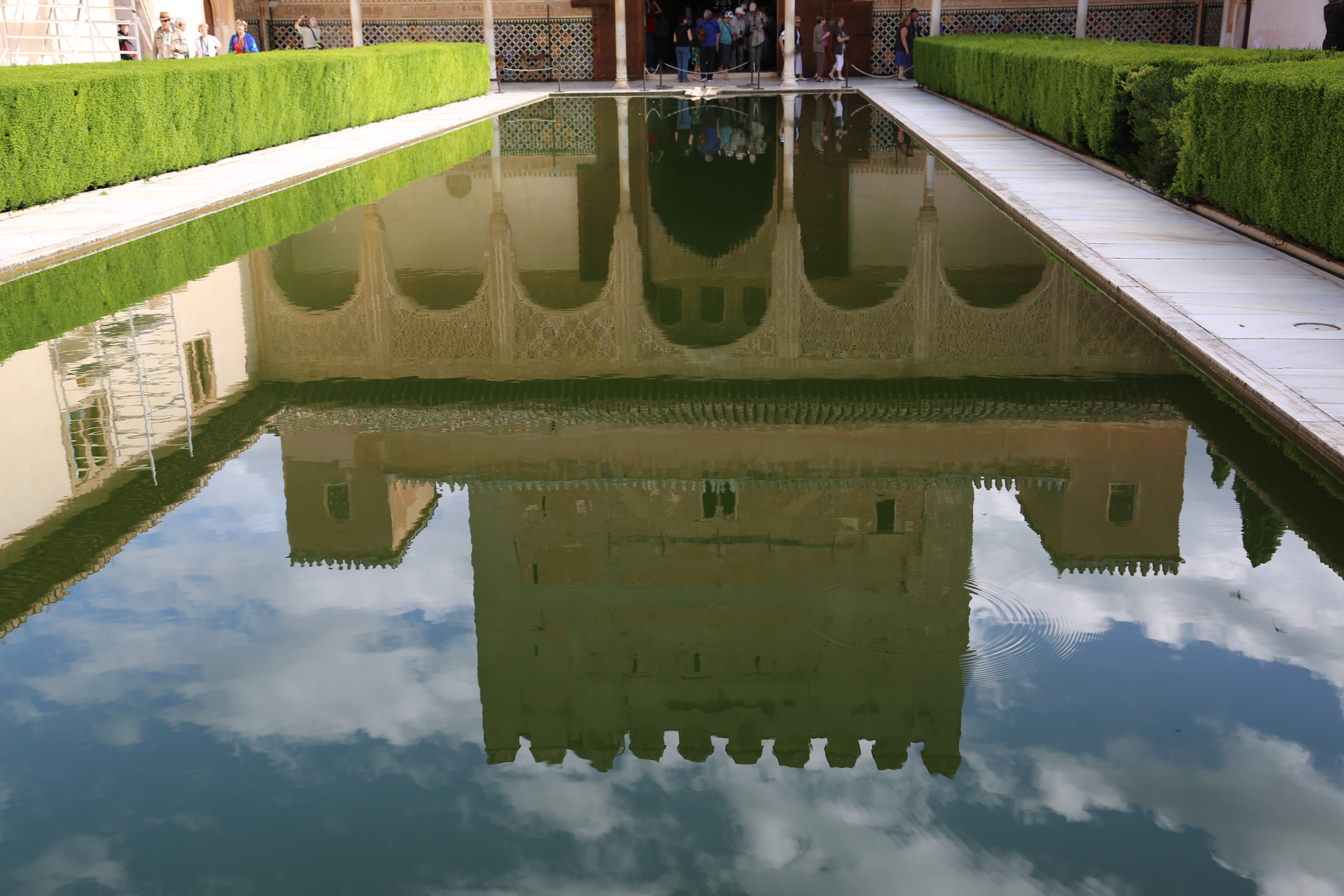reflection