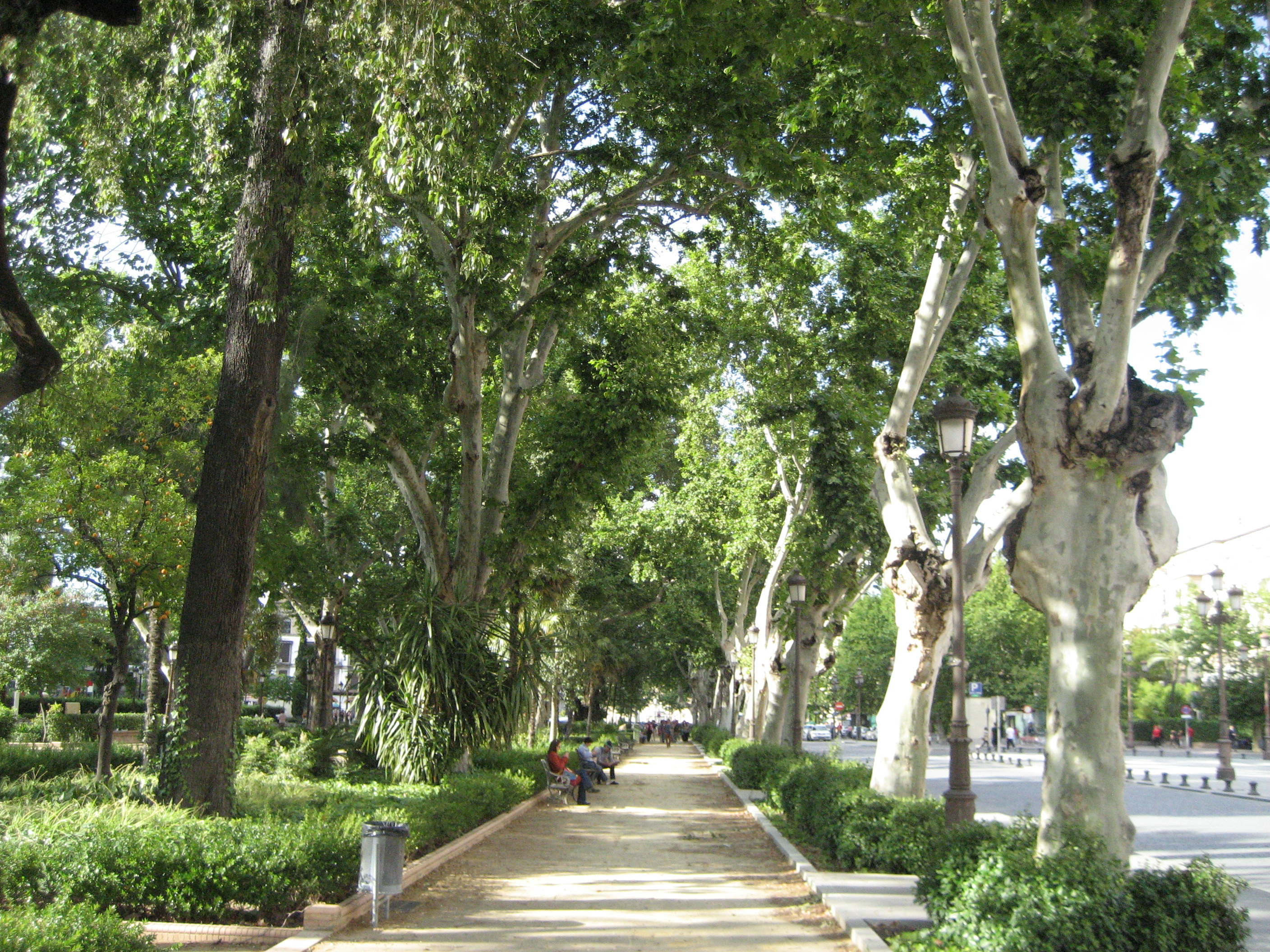 bench