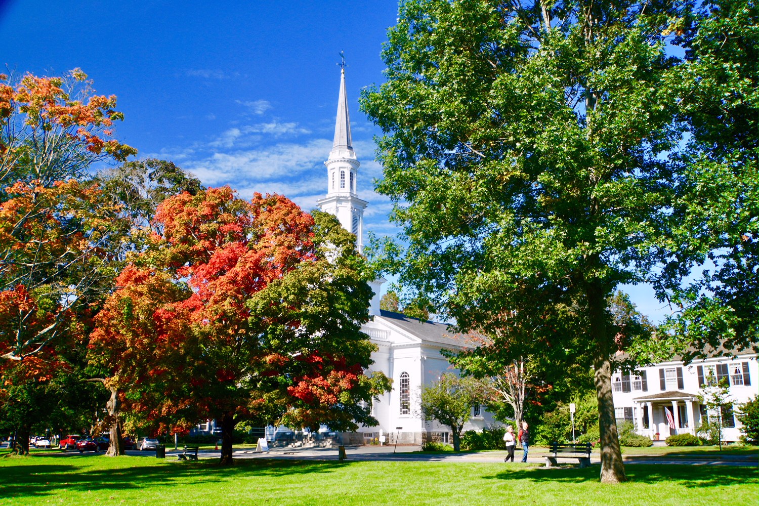 Lexington1