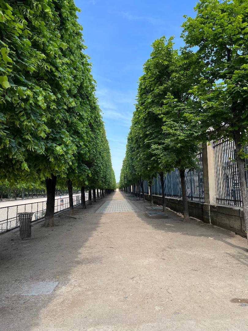 trees